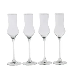 CASA Copas De Cóctel|After Dinner Copas De Grappa Juego De 4 Transparente