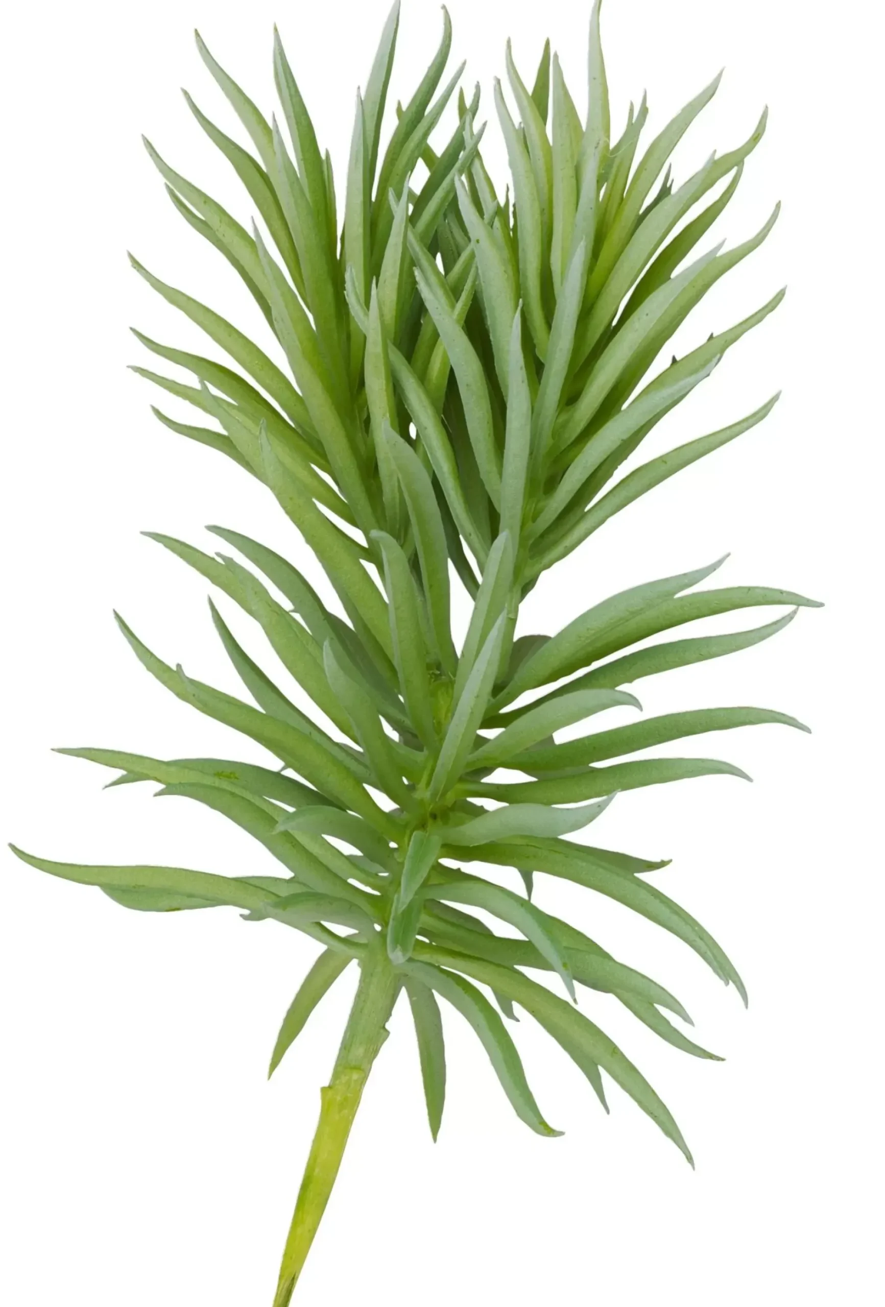 CASA Ramos Artificiales|Atacama Rama Sintetico Gris