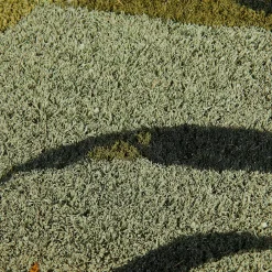 CASA Felpudos|Bambou Felpudo Verde