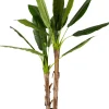 CASA Plantas Artificiales|Banana Platanera Verde