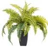 CASA Plantas Artificiales|Boston Planta Helecho Verde