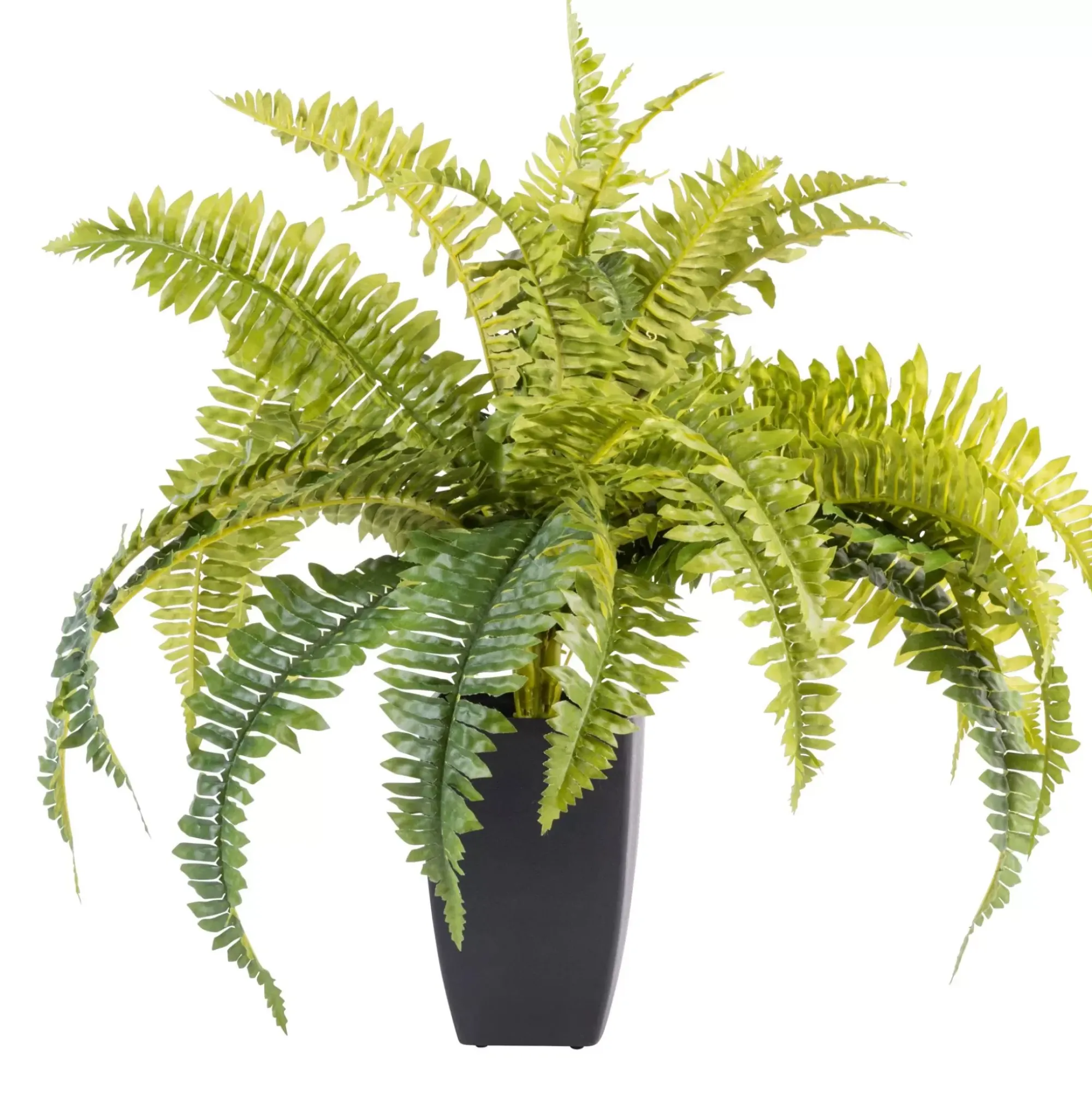 CASA Plantas Artificiales|Boston Planta Helecho Verde