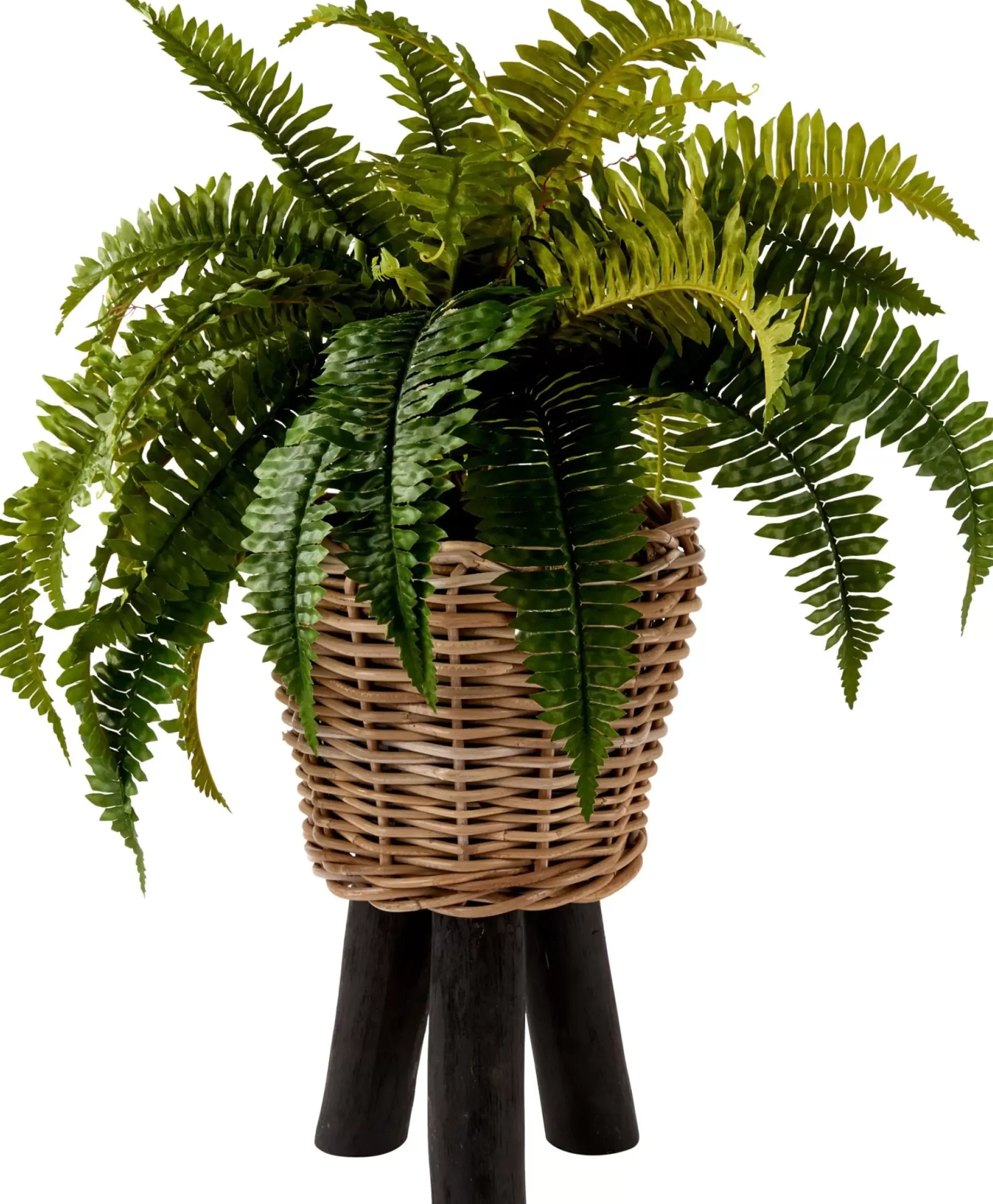 CASA Plantas Artificiales|Boston Planta Helecho Verde