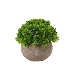 CASA Plantas Artificiales|Buxus Planta Varios Colores