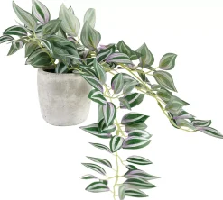 CASA Plantas Artificiales|Calathea Planta Colgante Gris, Verde, Morado