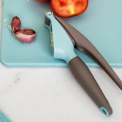 CASA Exprimidores|Kitchen Prensa De Ajo Gris, Azul