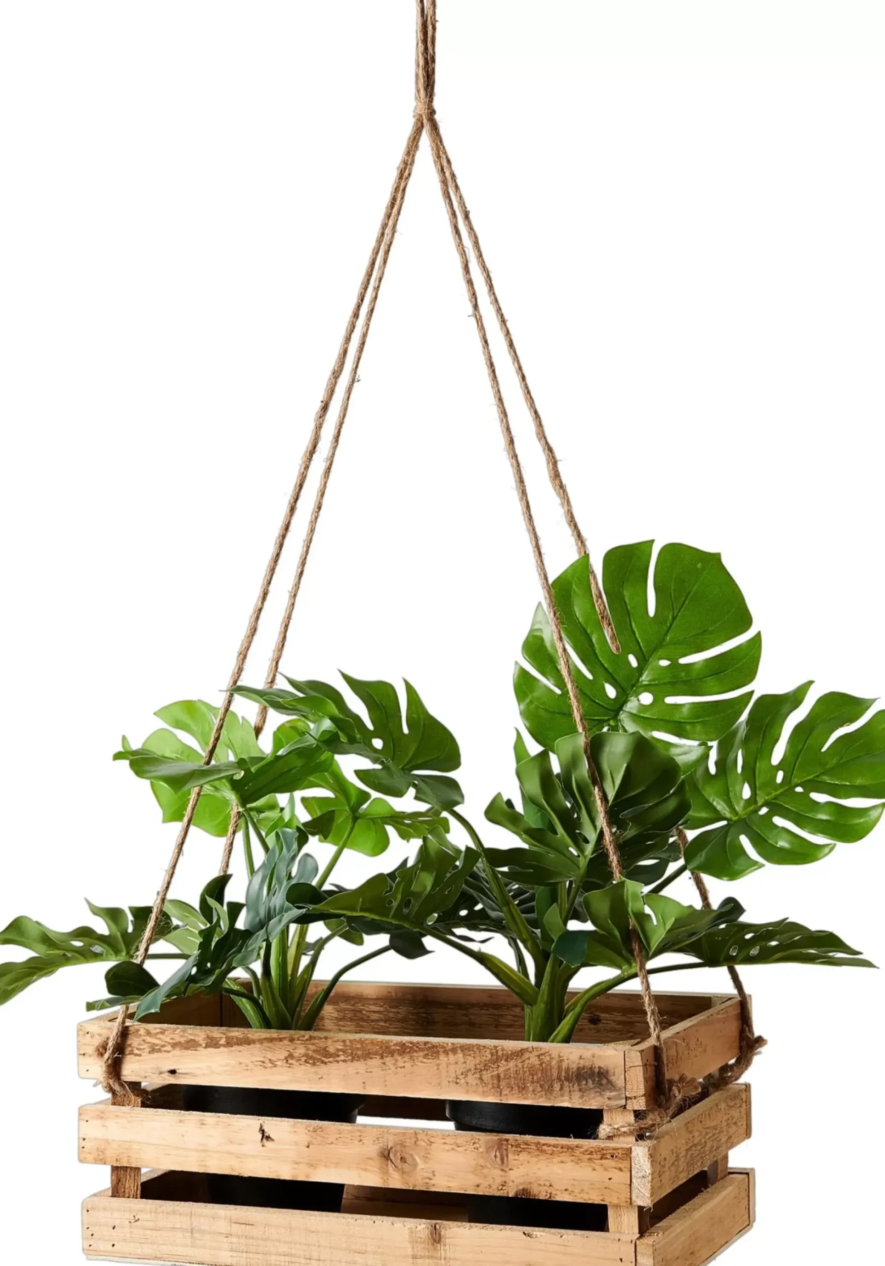 CASA Cajitas|Crate Caja Natural