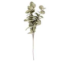 CASA Ramos Artificiales|Eva Eucalipto Verde