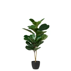 CASA Plantas Artificiales|Figi Negro, Verde Oscuro