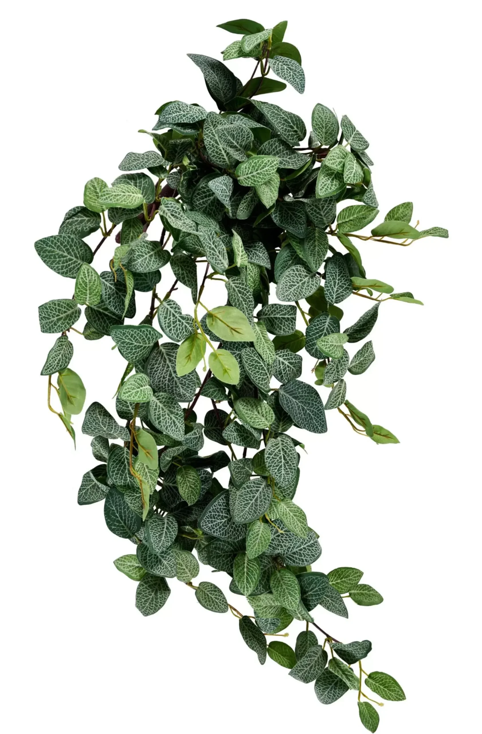 CASA Ramos Artificiales|Fittonia Guirnalda De Hojas Verde