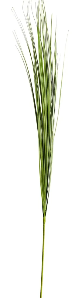 CASA Ramos Artificiales|Grass Haz De Hierba Verde