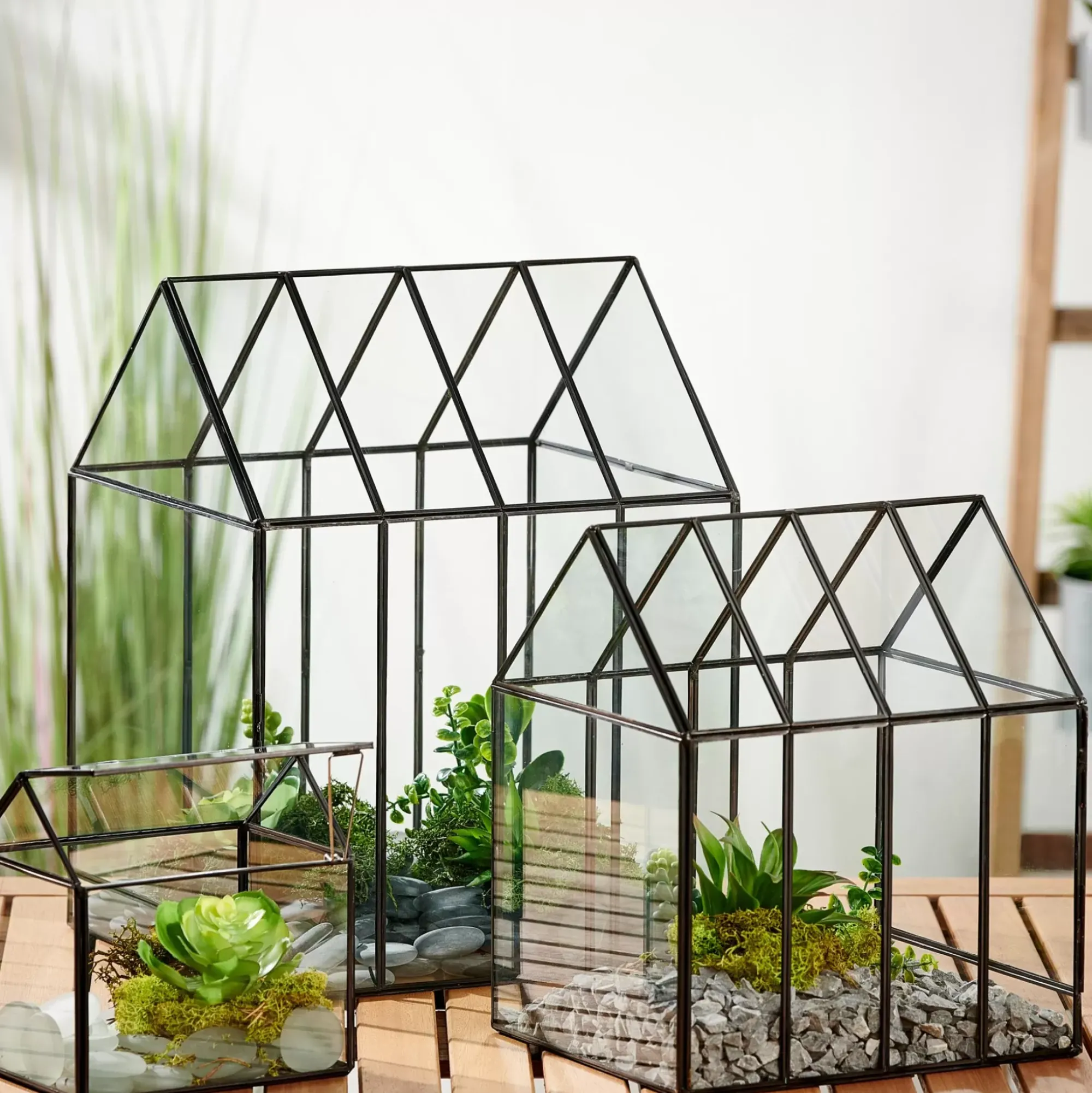 CASA Soportes Para Plantas|Greenhouse Invernadero Transparente
