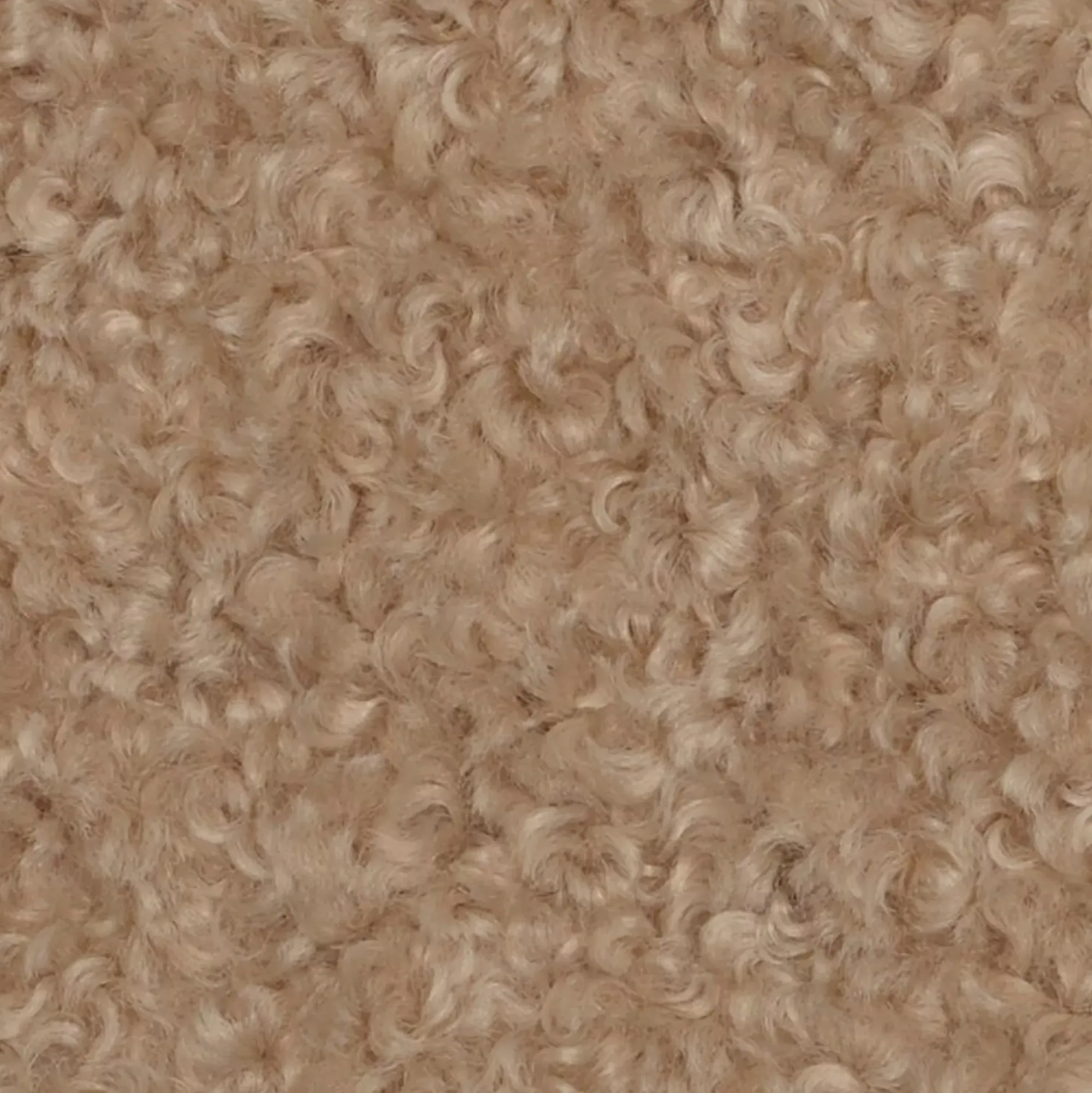 CASA Cojines|Hugo Cojin Beis