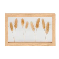 CASA Decoracion De Pared|Lagurus Decoracion De Pared Natural