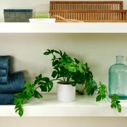 CASA Plantas Artificiales|Monstera Planta Varios Colores, Blanco, Verde