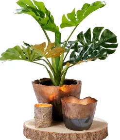 CASA Fuentes Decorativas|Paulo Fuente Natural