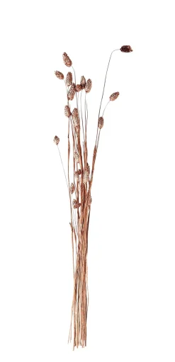 CASA Plantas Artificiales|Phalaris Hierba Ornamental Cobrizo