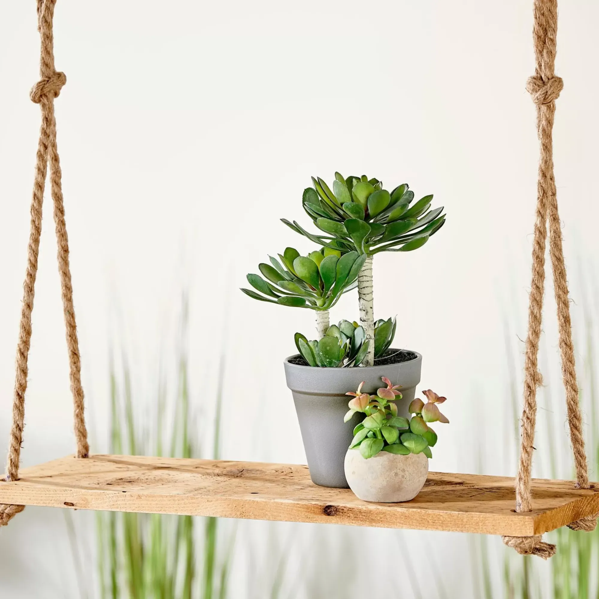 CASA Colgadores Para Plantas|Recycle Deco Para Colgar Natural