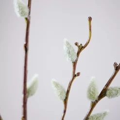 CASA Ramos Artificiales|Salica Rama Sintetico Verde