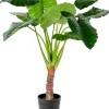 CASA Plantas Artificiales|Taro Planta Artificial Aro Verde