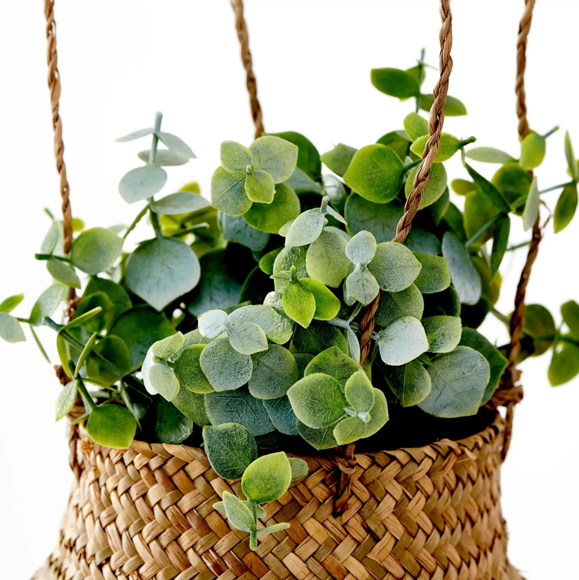 CASA Plantas Artificiales|Terra Planta En Maceta Blanco, Verde