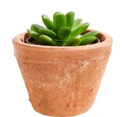 CASA Macetas|Tierra Macetero Terracota