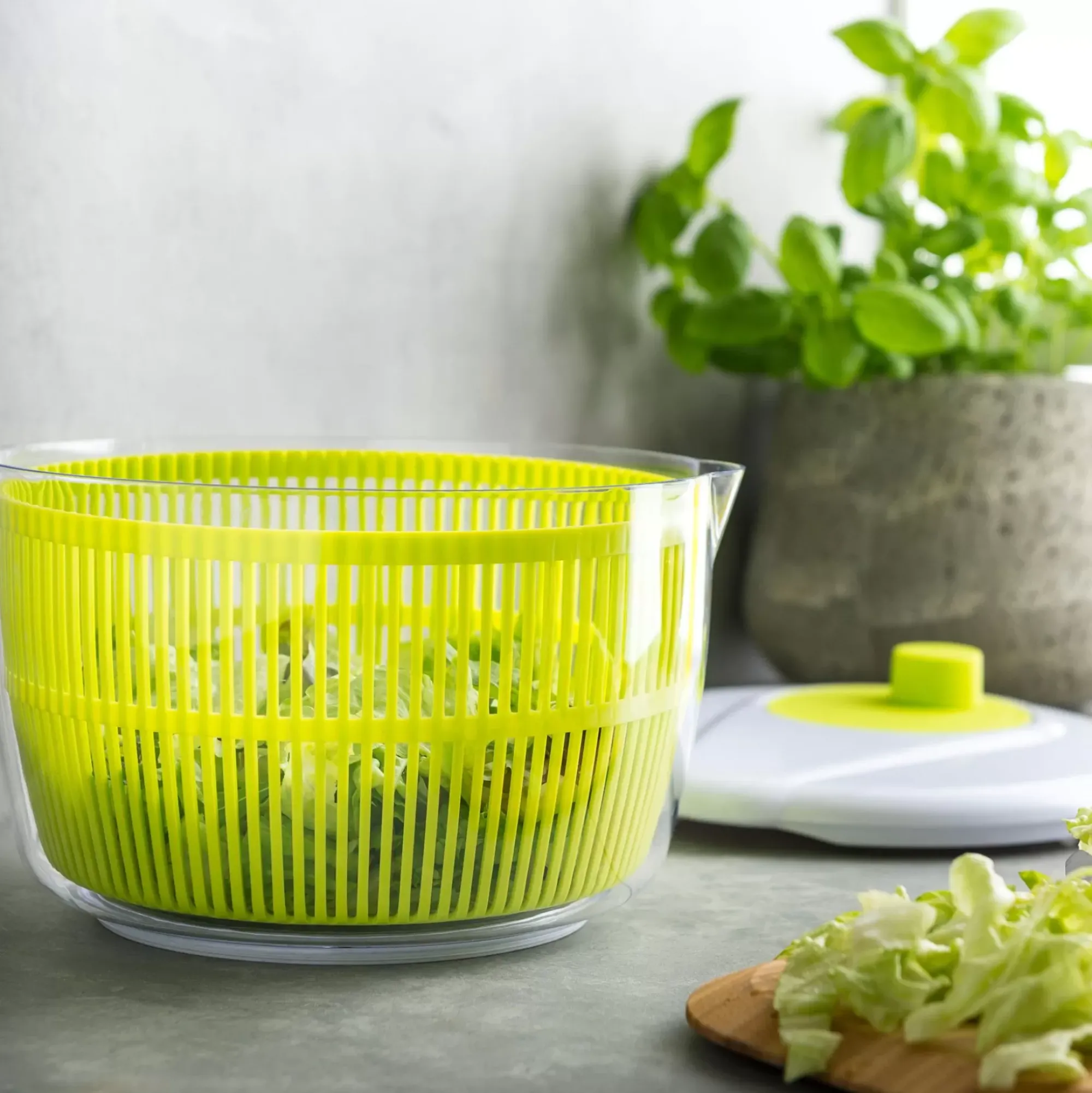 CASA Escurridores|Vida Verde Escurridor De Lechugas Blanco, Verde